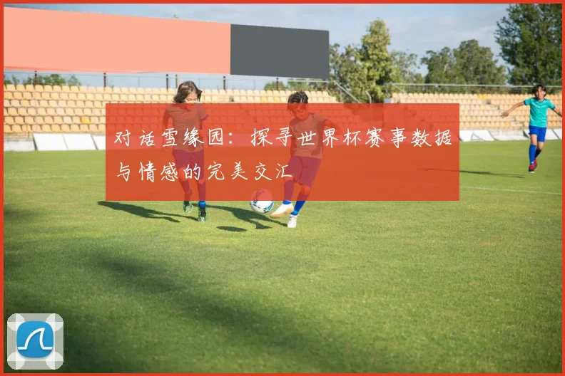 对话雪缘园：探寻世界杯赛事数据与情感的完美交汇
