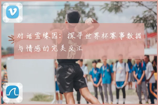 对话雪缘园：探寻世界杯赛事数据与情感的完美交汇