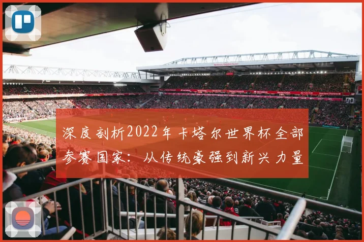 深度剖析2022年卡塔尔世界杯全部参赛国家：从传统豪强到新兴力量